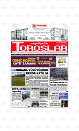 SEYDİŞEHİR TOROSLAR