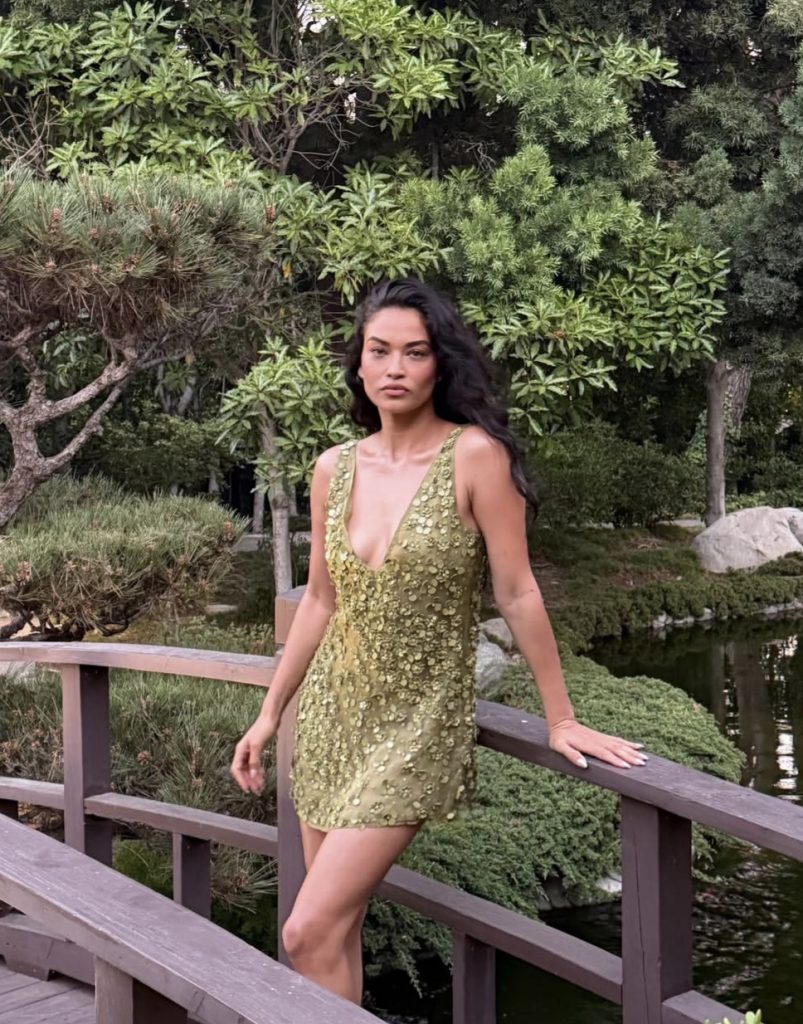 Shanina Shaik Kimdir? Kaç Yaşında, Nereli, Boyu Kaç? Shanina Shaik’in Süper Model Kariyerindeki Yükselişi